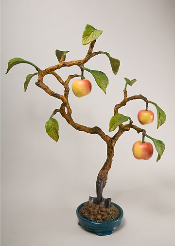Mountain Apple Bonsai, ©2009 Victor Cicansky