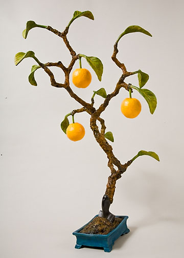 Mountain Orange Bonsai, ©2009 Victor Cicansky