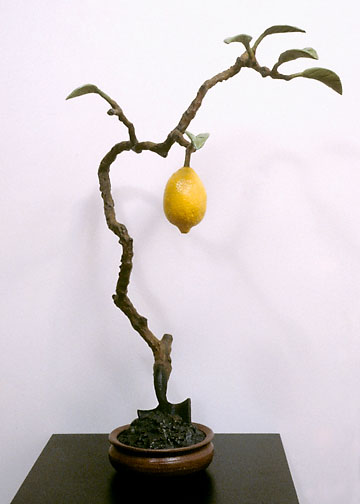 Sun Lemon Bonsai, ©1993 Victor Cicansky