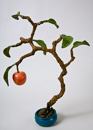 Mini September Apple Bonsai, ©2008 Victor Cicansky