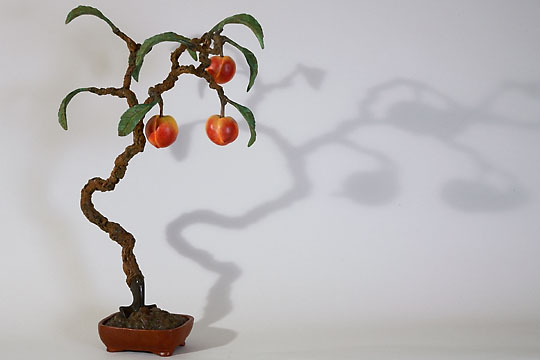 Mountain Peach Bonsai, ©2008 Victor Cicansky