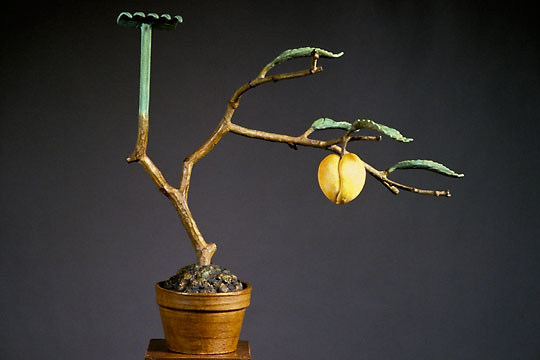 Horizontal Apple Bonsai, ©1991 Victor Cicansky