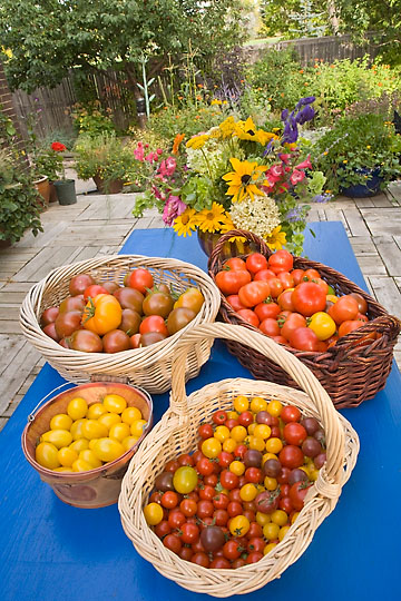 Garden harvest 2009