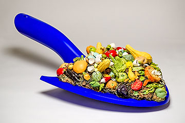 Compost Shovel