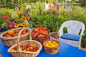 Harvest