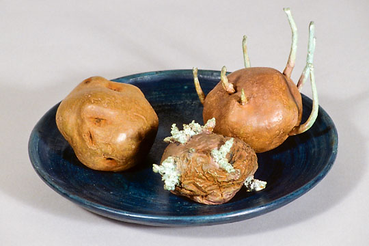 Aging Potato, ©1990 Victor Cicansky
