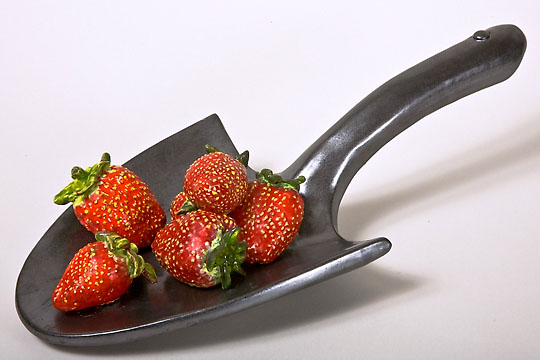 Strawberry Shovel, ©2008 Victor Cicansky