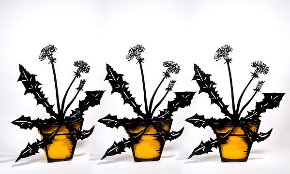 February Still Life, ©2011 Victor Cicansky